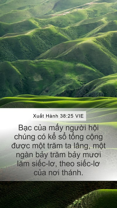 Xuất Hành 38:25 VIE Mobile Phone Wallpaper - Bạc của mấy người hội chúng có kể - Mobile Bible Verse Wallpaper