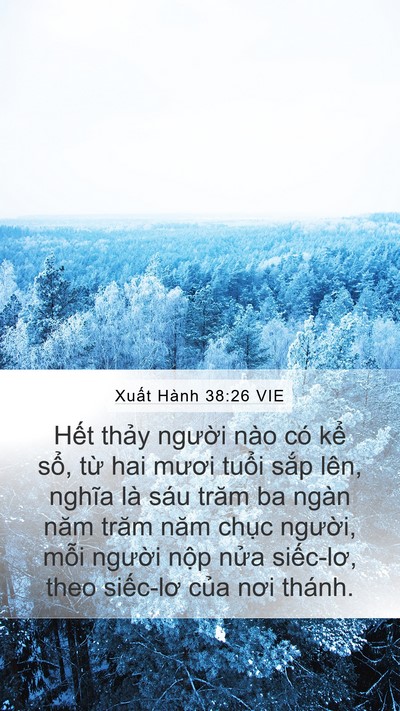 Xuất Hành 38:26 VIE Bible Verse Image