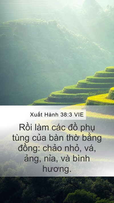 Xuất Hành 38:3 VIE Bible Verse Image