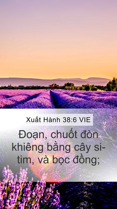Xuất Hành 38:6 VIE Mobile Phone Wallpaper - Đoạn, chuốt đòn khiêng bằng cây - Mobile Bible Verse Wallpaper