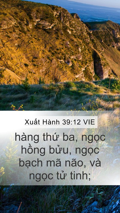 Xuất Hành 39:12 VIE Mobile Phone Wallpaper - hàng thứ ba, ngọc hồng bửu, ngọc - Mobile Bible Verse Wallpaper