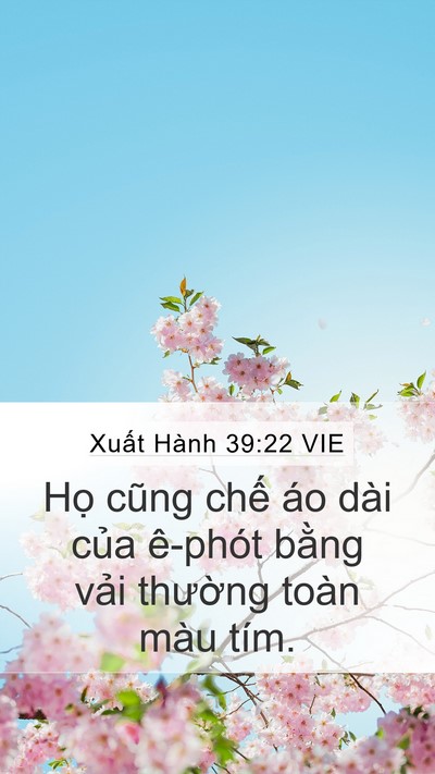Xuất Hành 39:22 VIE Bible Verse Image