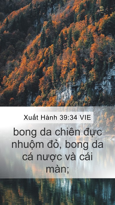 Xuất Hành 39:34 VIE Bible Verse Image