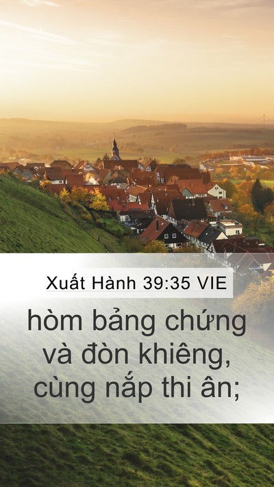 Xuất Hành 39:35 VIE Mobile Phone Wallpaper - hòm bảng chứng và đòn khiêng, cùng - Mobile Bible Verse Wallpaper
