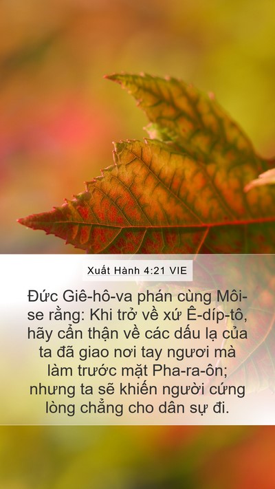 Xuất Hành 4:21 VIE Bible Verse Image