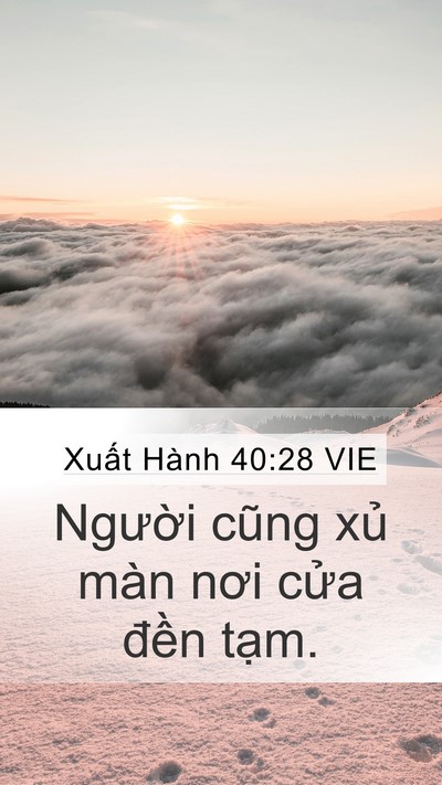 Xuất Hành 40:28 VIE Bible Verse Image