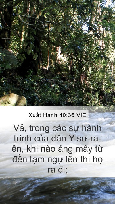 Xuất Hành 40:36 VIE Bible Verse Image