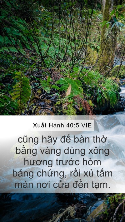 Xuất Hành 40:5 VIE Bible Verse Image