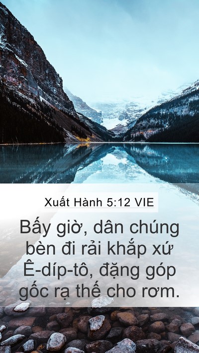 Xuất Hành 5:12 VIE Mobile Phone Wallpaper - Bấy giờ, dân chúng bèn đi rải khắp - Mobile Bible Verse Wallpaper