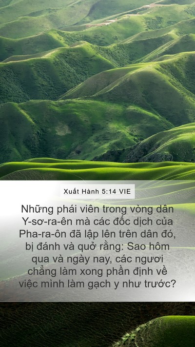 Xuất Hành 5:14 VIE Bible Verse Image