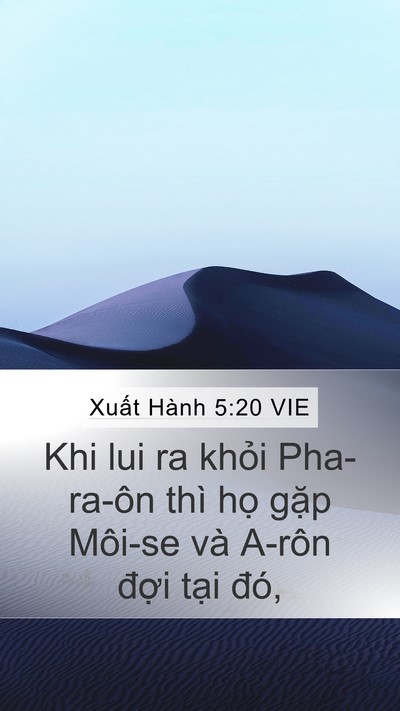Xuất Hành 5:20 VIE Mobile Phone Wallpaper - Khi lui ra khỏi Pha-ra-ôn thì họ gặp - Mobile Bible Verse Wallpaper