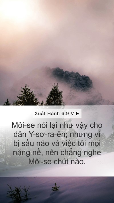 Xuất Hành 6:9 VIE Bible Verse Image