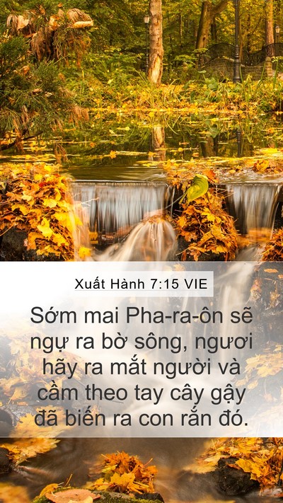 Xuất Hành 7:15 VIE Bible Verse Image