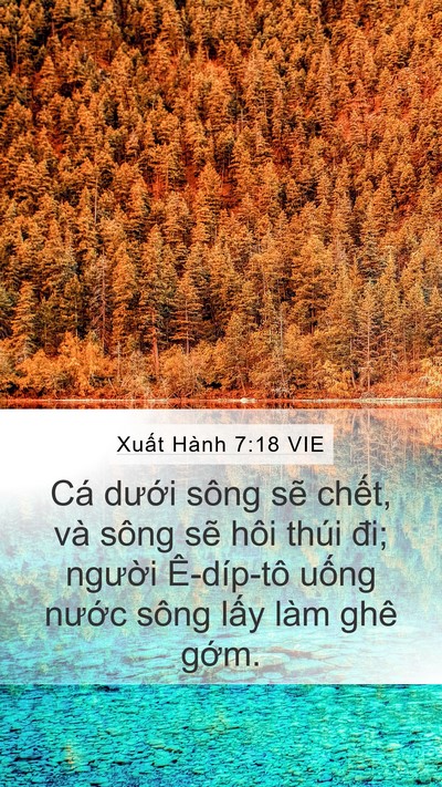 Xuất Hành 7:18 VIE Mobile Phone Wallpaper - Cá dưới sông sẽ chết, và sông sẽ - Mobile Bible Verse Wallpaper