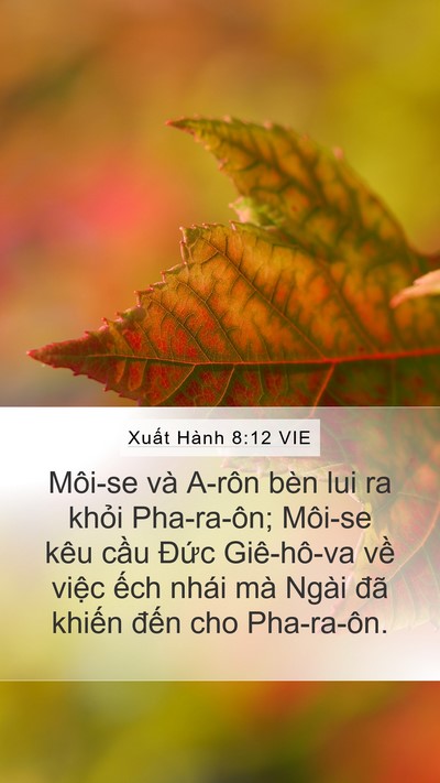 Xuất Hành 8:12 VIE Bible Verse Image
