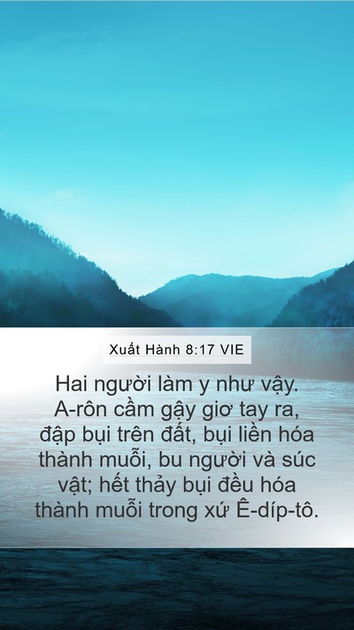 Xuất Hành 8:17 VIE Mobile Phone Wallpaper - Hai người làm y như vậy. A-rôn cầm - Mobile Bible Verse Wallpaper