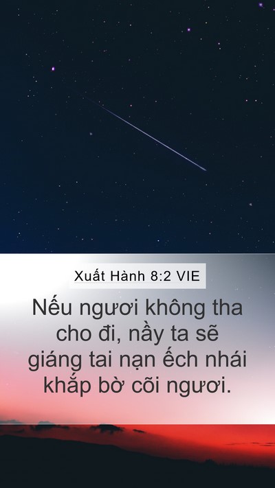 Xuất Hành 8:2 VIE Bible Verse Image