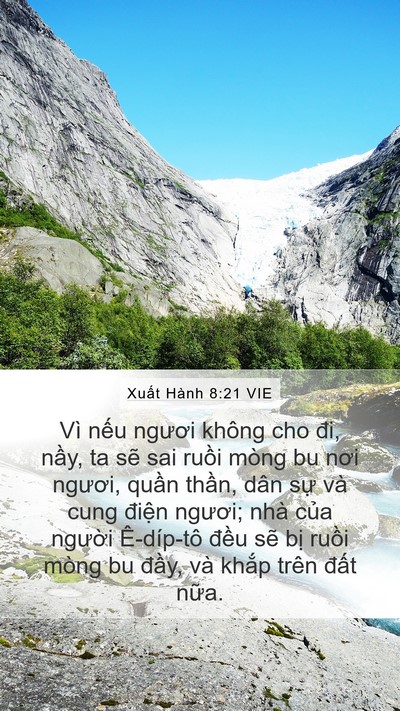 Xuất Hành 8:21 VIE Bible Verse Image