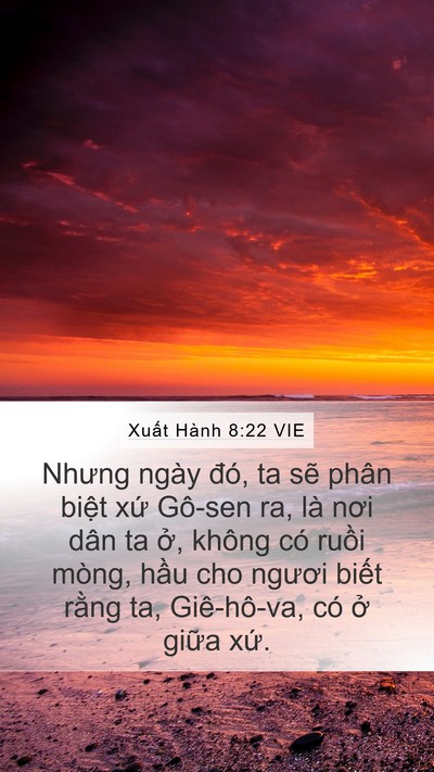 Xuất Hành 8:22 VIE Bible Verse Image