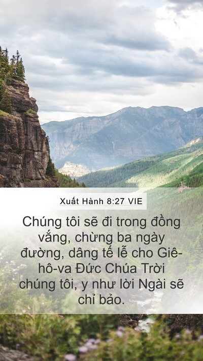 Xuất Hành 8:27 VIE Mobile Phone Wallpaper - Chúng tôi sẽ đi trong đồng vắng, - Mobile Bible Verse Wallpaper