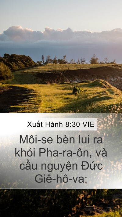 Xuất Hành 8:30 VIE Bible Verse Image