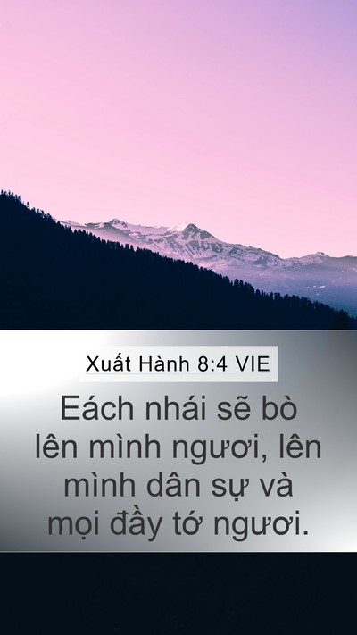 Xuất Hành 8:4 VIE Mobile Phone Wallpaper - Eách nhái sẽ bò lên mình ngươi, lên - Mobile Bible Verse Wallpaper