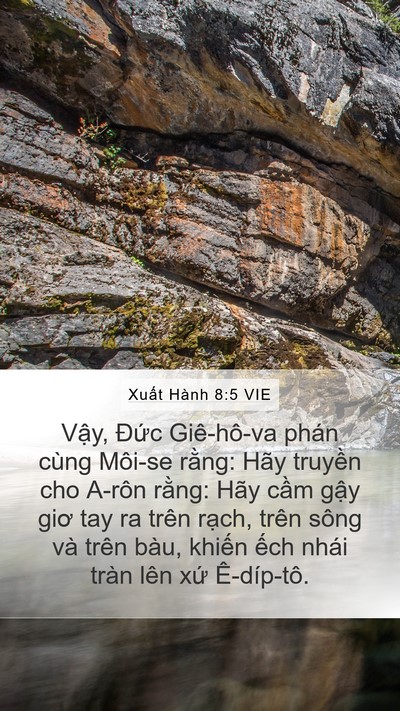 Xuất Hành 8:5 VIE Bible Verse Image