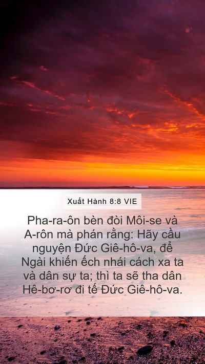 Xuất Hành 8:8 VIE Bible Verse Image