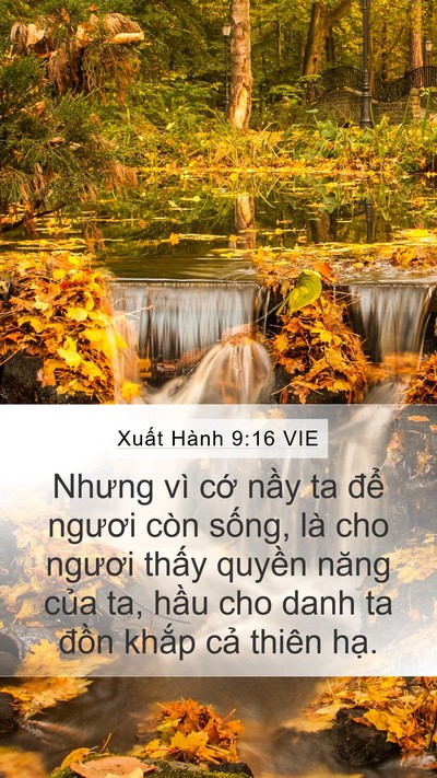 Xuất Hành 9:16 VIE Bible Verse Image