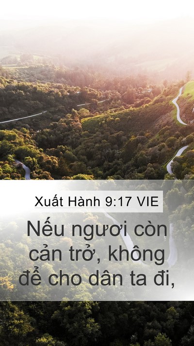 Xuất Hành 9:17 VIE Bible Verse Image