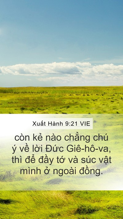 Xuất Hành 9:21 VIE Bible Verse Image