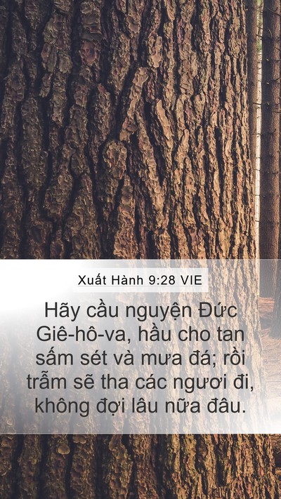 Xuất Hành 9:28 VIE Bible Verse Image
