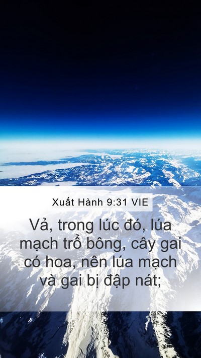 Xuất Hành 9:31 VIE Bible Verse Image