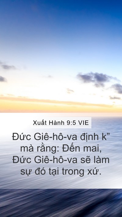 Xuất Hành 9:5 VIE Bible Verse Image