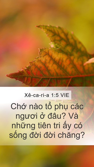 Xê-ca-ri-a 1:5 VIE Bible Verse Image