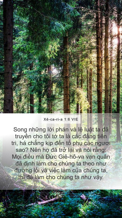 Xê-ca-ri-a 1:6 VIE Bible Verse Image