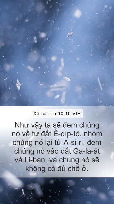 Xê-ca-ri-a 10:10 VIE Bible Verse Image