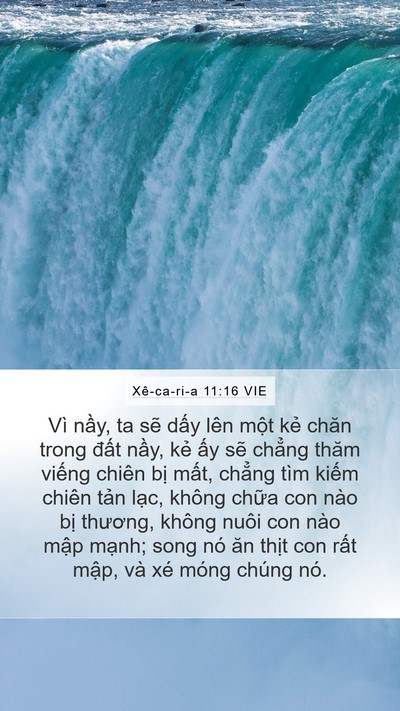 Xê-ca-ri-a 11:16 VIE Bible Verse Image