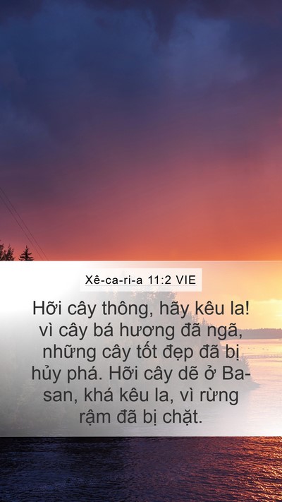 Xê-ca-ri-a 11:2 VIE Bible Verse Image