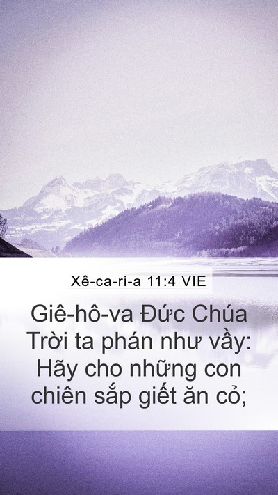 Xê-ca-ri-a 11:4 VIE Bible Verse Image