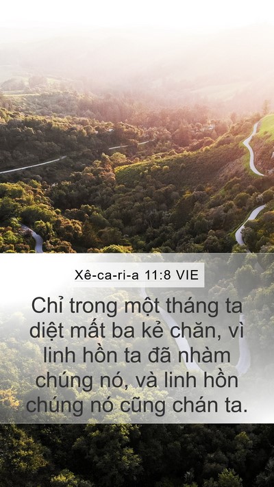 Xê-ca-ri-a 11:8 VIE Bible Verse Image