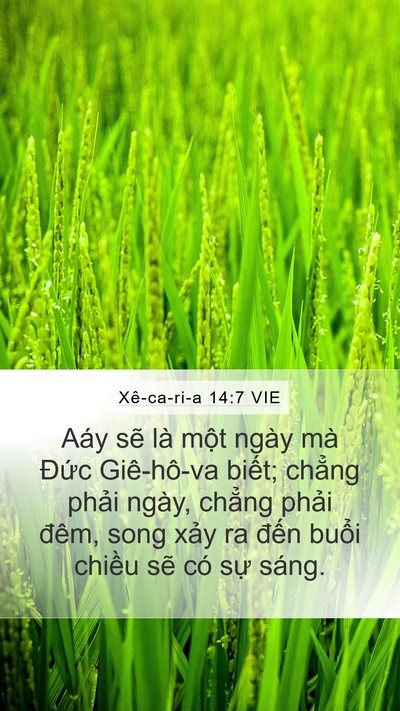 Xê-ca-ri-a 14:7 VIE Bible Verse Image