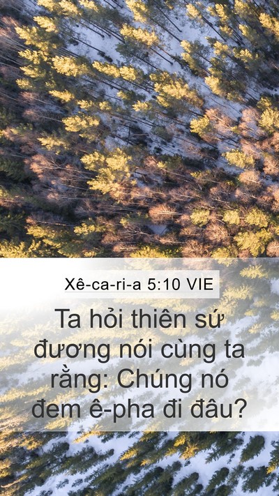 Xê-ca-ri-a 5:10 VIE Bible Verse Image