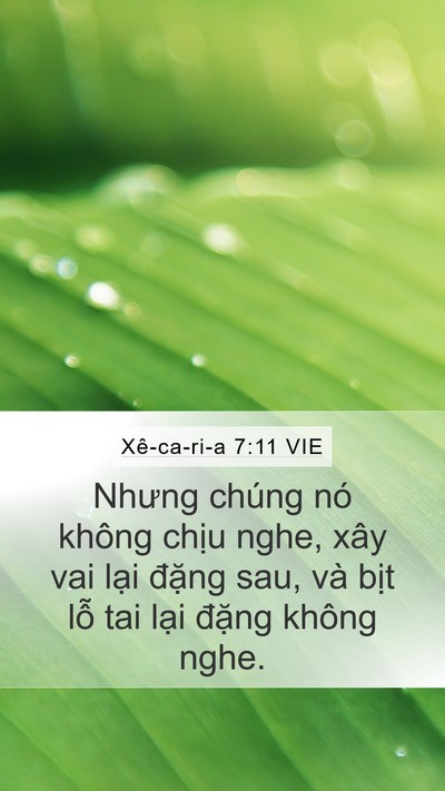Xê-ca-ri-a 7:11 VIE Bible Verse Image