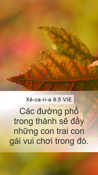 Xê-ca-ri-a 8:5 VIE Bible Verse Image
