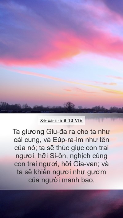 Xê-ca-ri-a 9:13 VIE Bible Verse Image