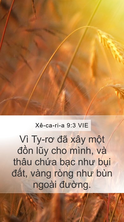 Xê-ca-ri-a 9:3 VIE Bible Verse Image