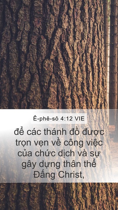 Ê-phê-sô 4:12 VIE Bible Verse Image