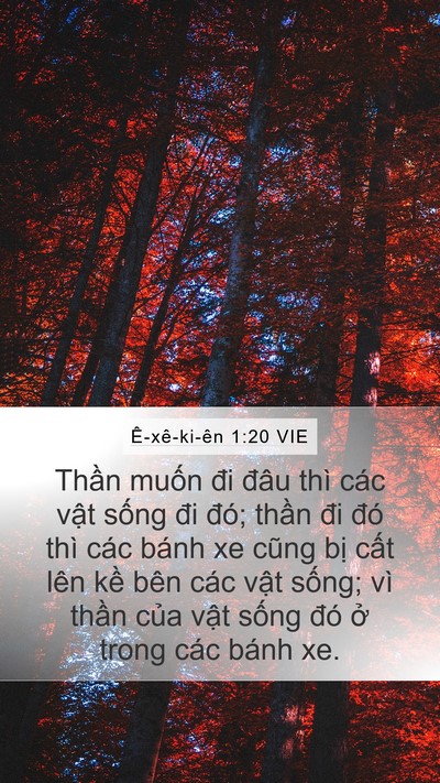 Ê-xê-ki-ên 1:20 VIE Bible Verse Image