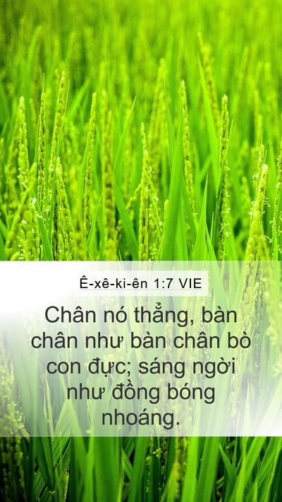 Ê-xê-ki-ên 1:7 VIE Bible Verse Image